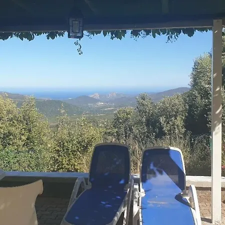 Vos à France Corse Lama