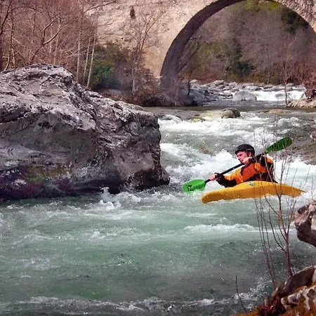 Vos à France Corse * Lama