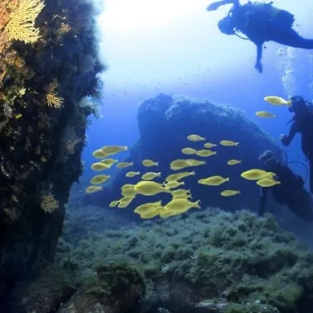 Vos à France Corse Casa de Férias