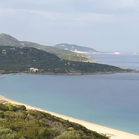 Vos à France Corse * Lama