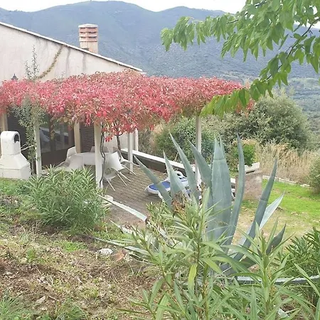 Vos à France Corse *