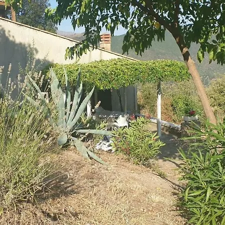 Vos à France Corse Casa de Férias Lama