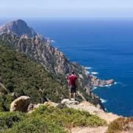 Vos à France Corse * Lama