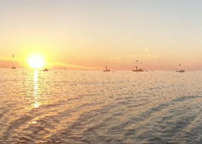 Vos A France Corse Lama