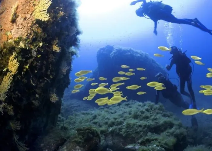 Vos A France Corse בית נופש