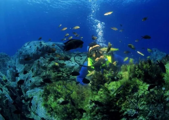 Vos A France Corse בית נופש