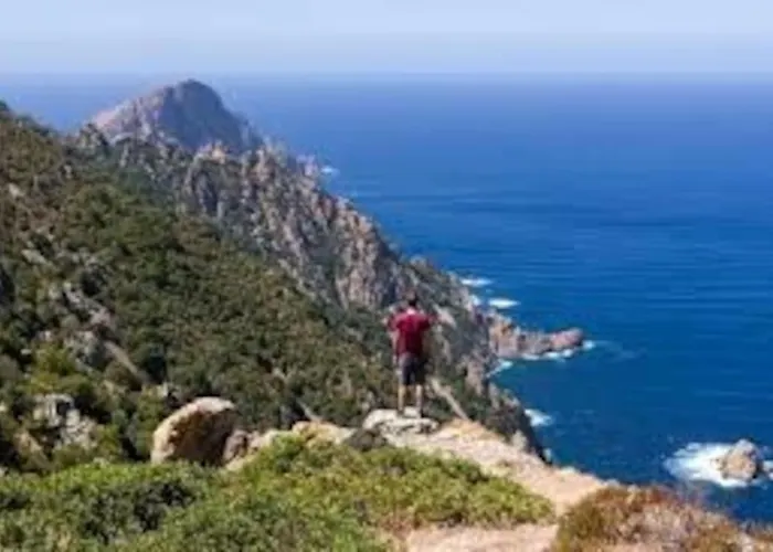 Vos A France Corse * Lama