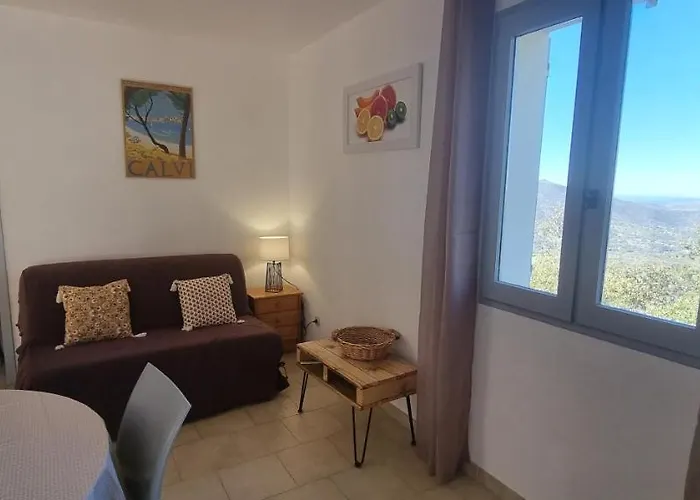 Vos A France Corse Lama