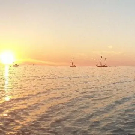 Vos A France Corse Lama