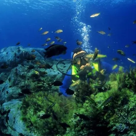 Vos A France Corse Дом отдыха