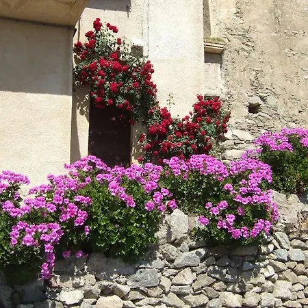 Vos à France Corse * Lama