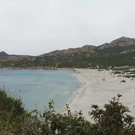 Vos A France Corse * Lama