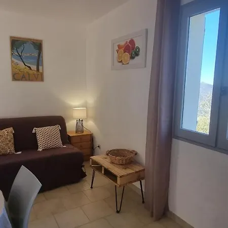 Vos à France Corse Lama