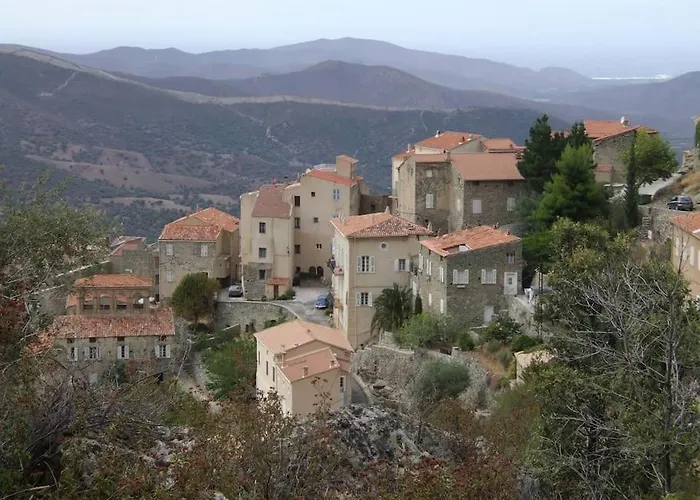 Vakantiehuis Vos A France Corse *