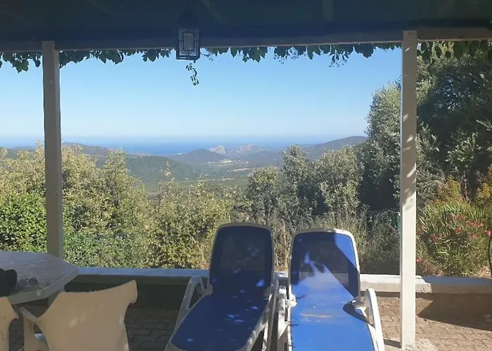 Vos A France Corse Lama