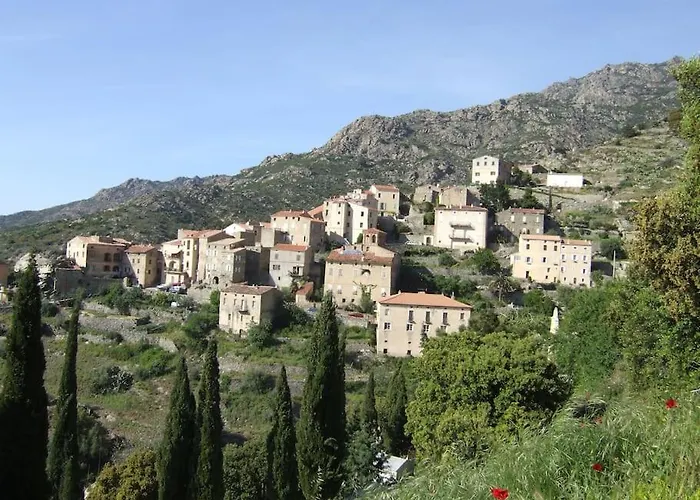Vakantiehuis Vos A France Corse Lama