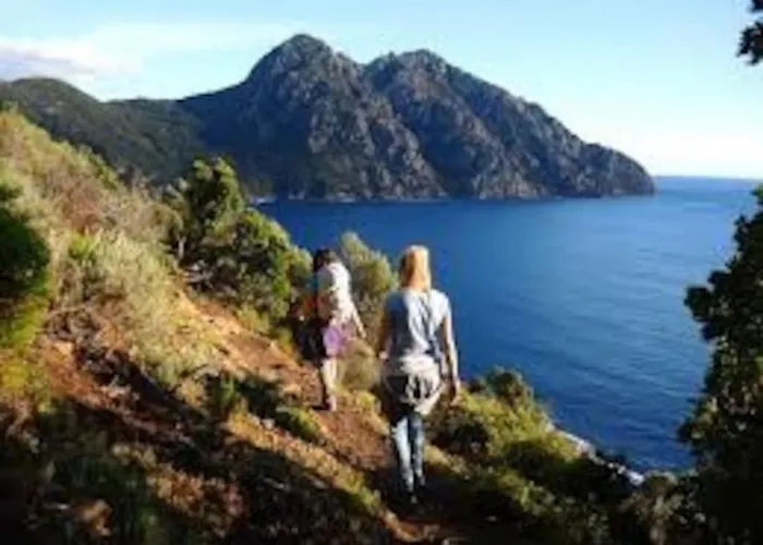 Vakantiehuis Vos A France Corse *