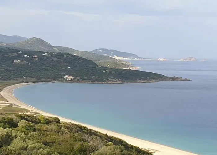 Vos A France Corse * Lama