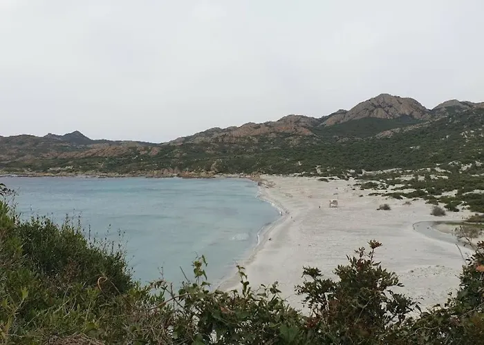 Vos A France Corse * Lama